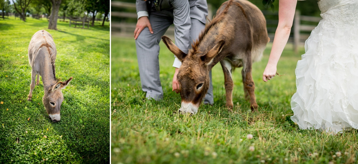 ironstone ranch elizabethtown pa wedding